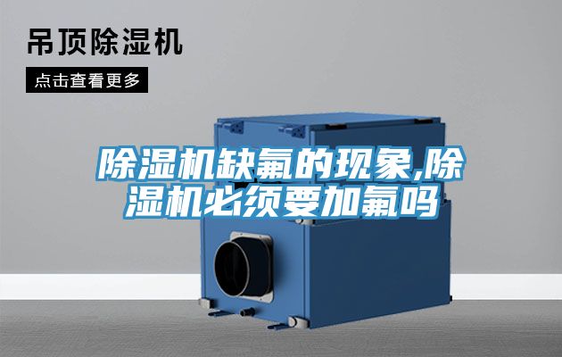 亚洲欧美一级特黄大片 除湿机缺氟的现象,除湿机必须要加氟吗