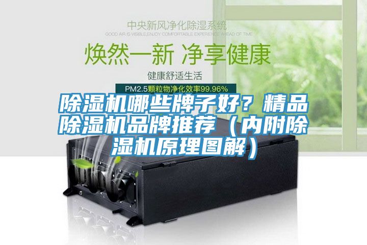 亚洲欧美一级特黄大片 除湿机哪些牌子好？精品除湿机品牌推荐（内附除湿机原理图解）