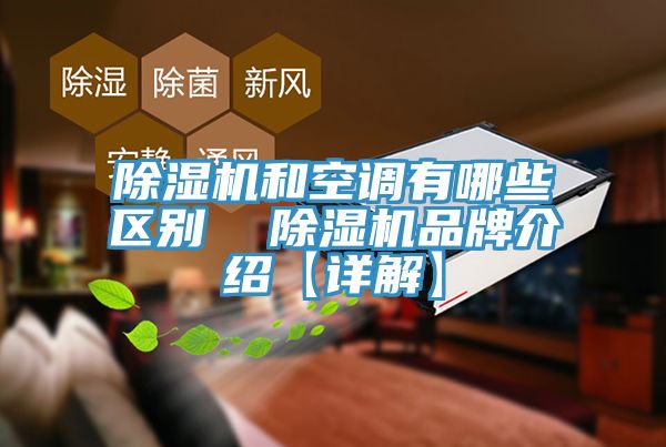 亚洲人成综合第一网站 除湿机和空调有哪些区别  除湿机品牌介绍【详解】