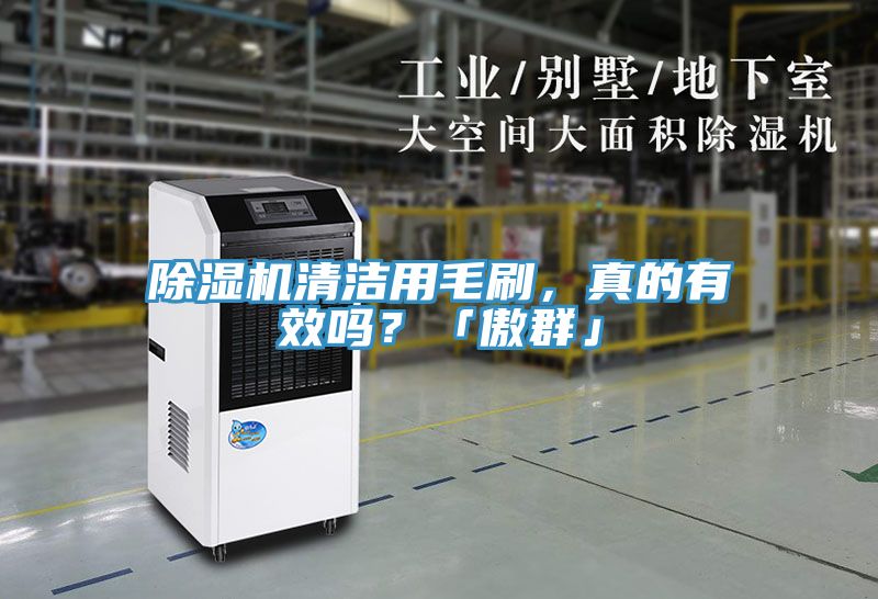 亚洲乱码一区二区三区 除湿机清洁用毛刷，真的有效吗？「傲群」