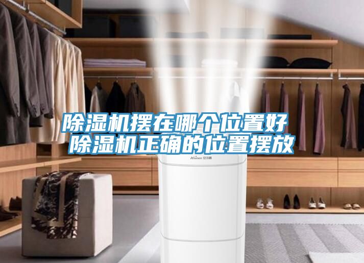 亚洲人成综合第一网站 除湿机摆在哪个位置好 除湿机正确的位置摆放
