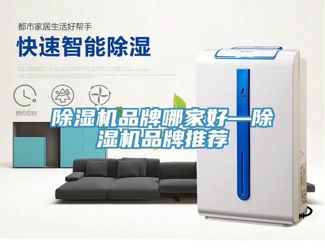 亚洲人成综合第一网站 除湿机品牌哪家好—除湿机品牌推荐