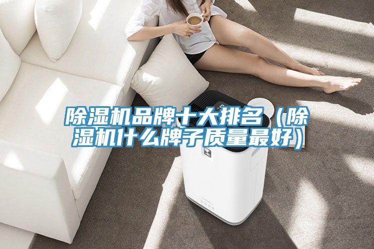 亚洲人成综合第一网站 除湿机品牌十大排名（除湿机什么牌子质量最好）