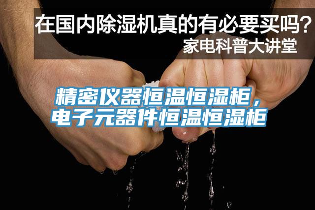 亚洲人成综合第一网站 精密仪器恒温恒湿柜，电子元器件恒温恒湿柜