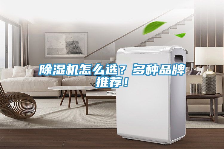 亚洲人成综合第一网站 除湿机怎么选？多种品牌推荐！