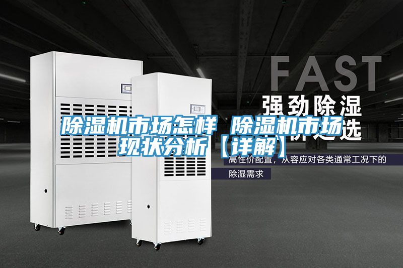 亚洲人成综合第一网站 除湿机市场怎样 除湿机市场现状分析【详解】