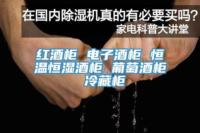 亚洲人成综合第一网站 红酒柜 电子酒柜 恒温恒湿酒柜 葡萄酒柜 冷藏柜