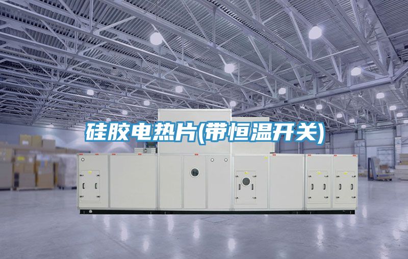 亚洲乱码一区二区三区 硅胶电热片(带恒温开关)