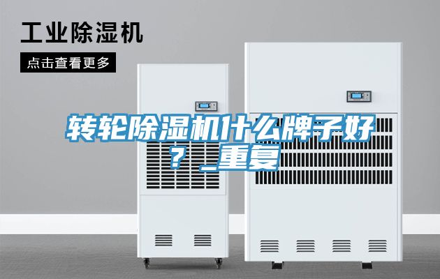 亚洲欧美一级特黄大片 转轮除湿机什么牌子好？_重复