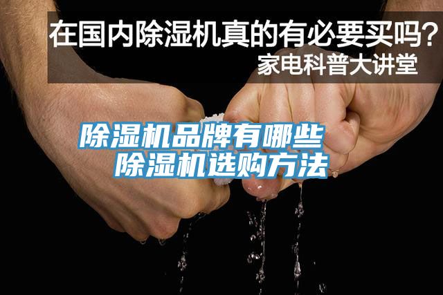 亚洲欧美一级特黄大片 除湿机品牌有哪些  除湿机选购方法