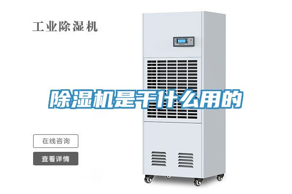 亚洲人成综合第一网站 除湿机是干什么用的