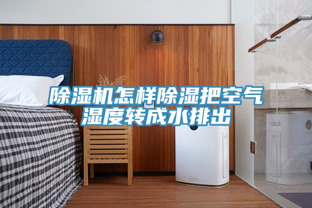 亚洲欧美一级特黄大片 除湿机怎样除湿把空气湿度转成水排出
