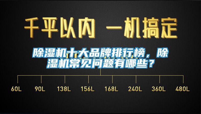 亚洲欧美一级特黄大片 除湿机十大品牌排行榜，除湿机常见问题有哪些？