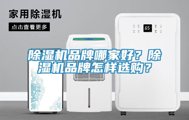 亚洲人成综合第一网站 除湿机品牌哪家好？除湿机品牌怎样选购？