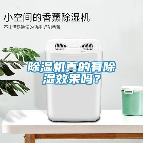 亚洲欧美一级特黄大片 除湿机真的有除湿效果吗？