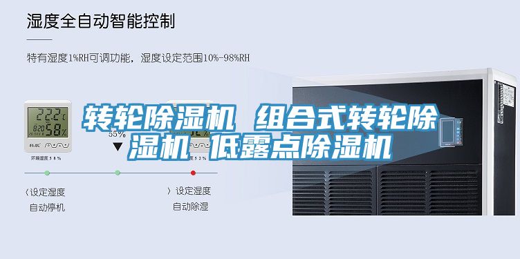 亚洲欧美一级特黄大片 转轮除湿机 组合式转轮除湿机 低露点除湿机