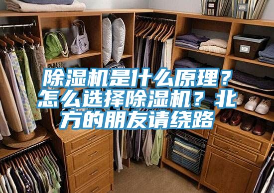 亚洲人成综合第一网站 除湿机是什么原理？怎么选择除湿机？北方的朋友请绕路