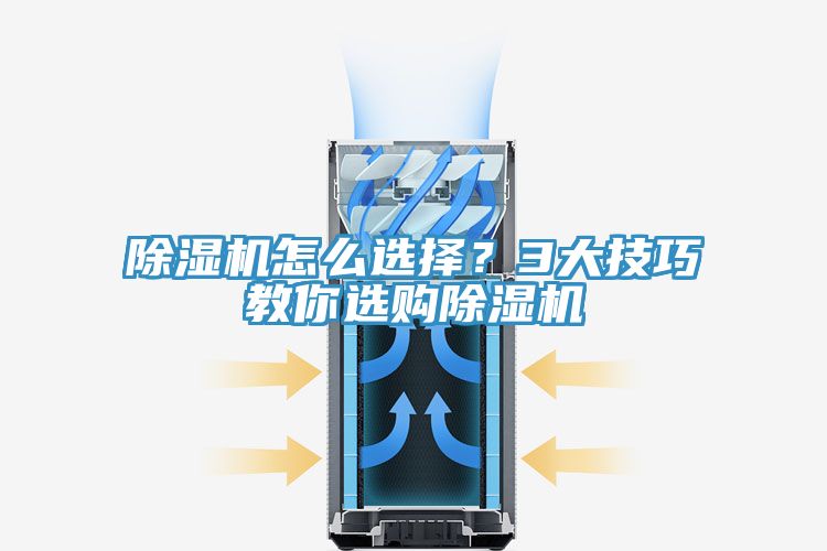 亚洲欧美一级特黄大片 除湿机怎么选择？3大技巧教你选购除湿机