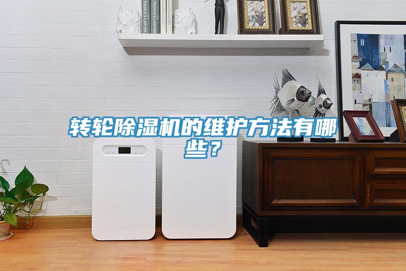 亚洲人成综合第一网站 转轮除湿机的维护方法有哪些？