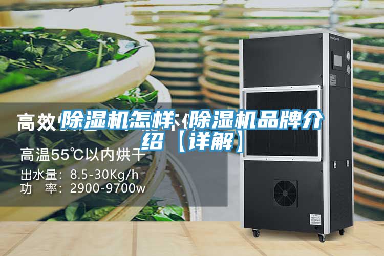 亚洲欧美一级特黄大片 除湿机怎样 除湿机品牌介绍【详解】