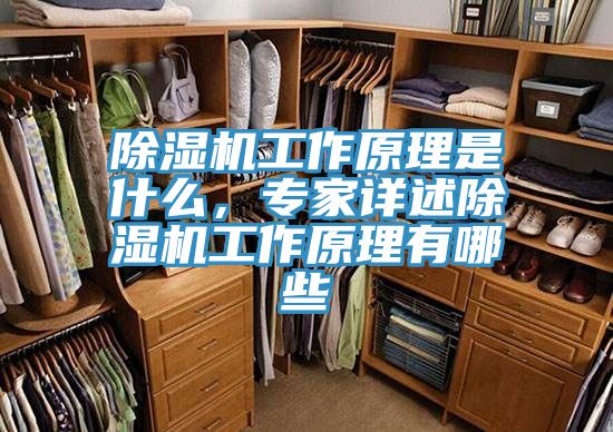 亚洲人成综合第一网站 除湿机工作原理是什么，专家详述除湿机工作原理有哪些