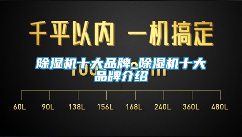 亚洲欧美一级特黄大片 除湿机十大品牌_除湿机十大品牌介绍