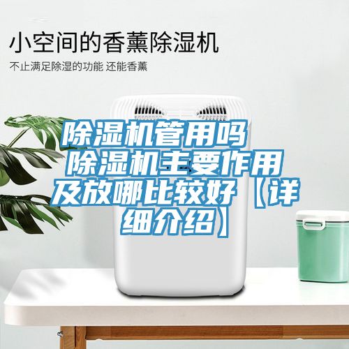 亚洲人成综合第一网站 除湿机管用吗  除湿机主要作用及放哪比较好【详细介绍】