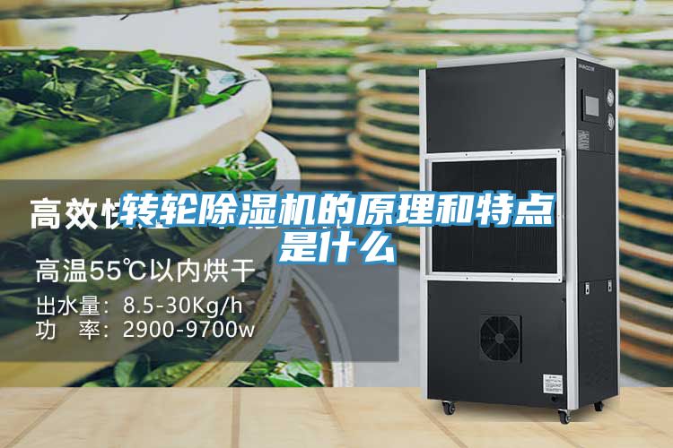 亚洲人成综合第一网站 转轮除湿机的原理和特点是什么