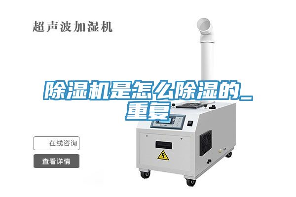 亚洲乱码一区二区三区 除湿机是怎么除湿的_重复