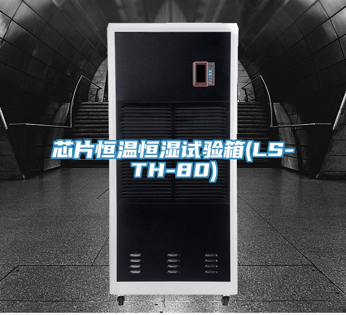 亚洲欧美一级特黄大片 芯片恒温恒湿试验箱(LS-TH-80)
