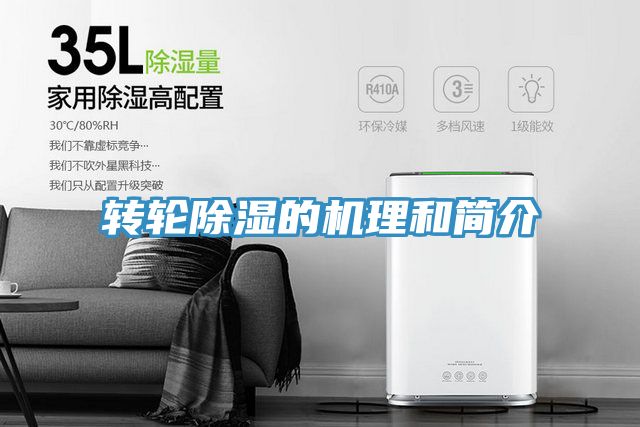 亚洲人成综合第一网站 转轮除湿的机理和简介