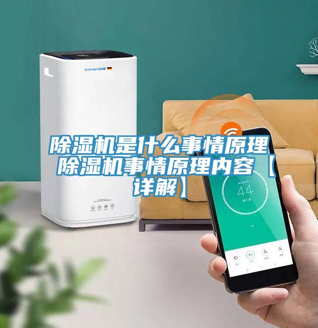 亚洲人成综合第一网站 除湿机是什么事情原理 除湿机事情原理内容【详解】