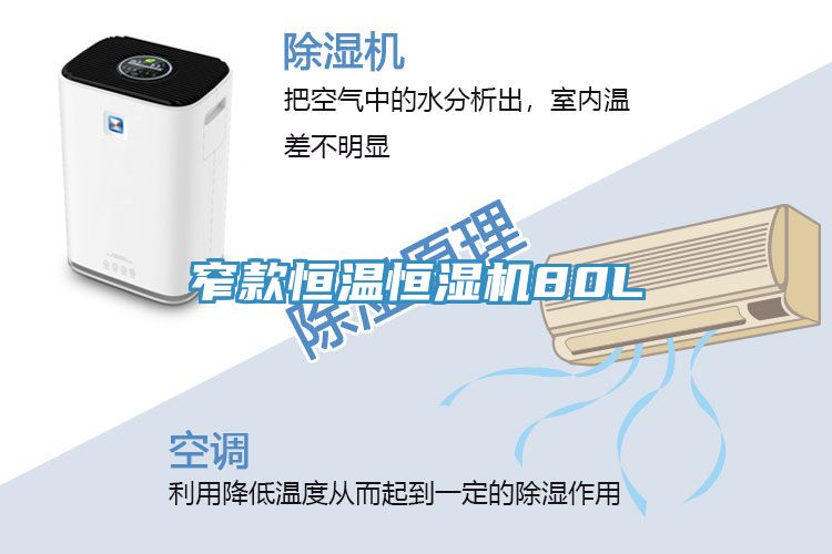 亚洲人成综合第一网站 窄款恒温恒湿机80L