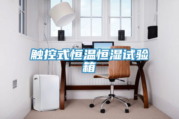 亚洲欧美一级特黄大片 触控式恒温恒湿试验箱
