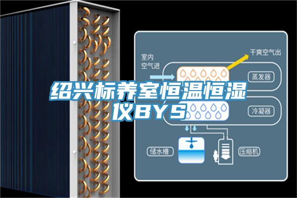 亚洲人成综合第一网站 绍兴标养室恒温恒湿仪BYS