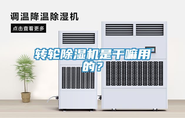 亚洲乱码一区二区三区 转轮除湿机是干嘛用的？