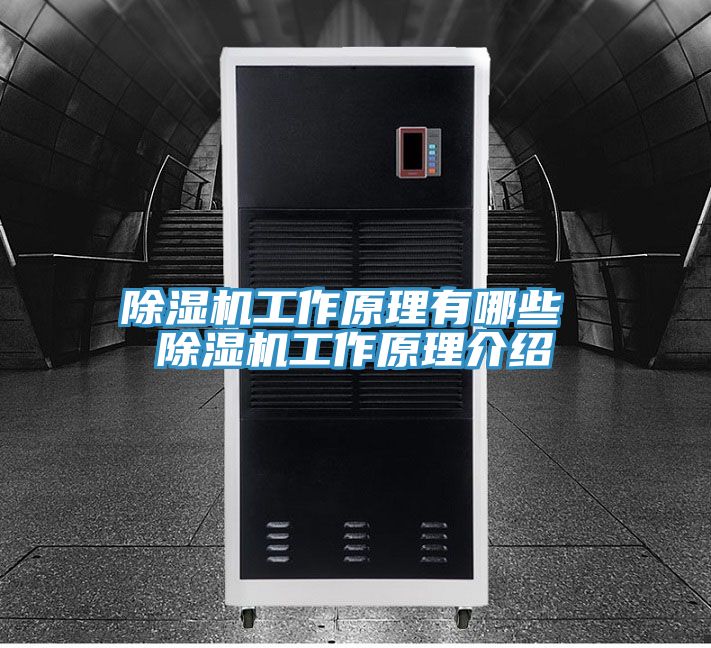 亚洲欧美一级特黄大片 除湿机工作原理有哪些 除湿机工作原理介绍