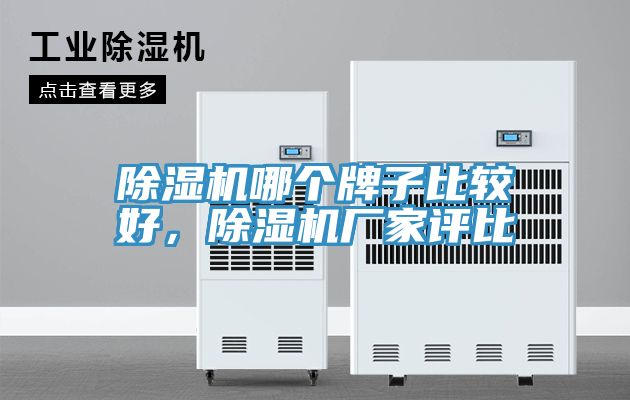 亚洲欧美一级特黄大片 除湿机哪个牌子比较好，除湿机厂家评比