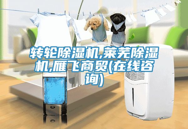 亚洲欧美一级特黄大片 转轮除湿机,莱芜除湿机,雁飞商贸(在线咨询)