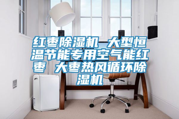 亚洲欧美一级特黄大片 红枣除湿机 大型恒温节能专用空气能红枣 大枣热风循环除湿机