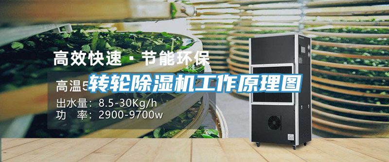 亚洲欧美一级特黄大片 转轮除湿机工作原理图