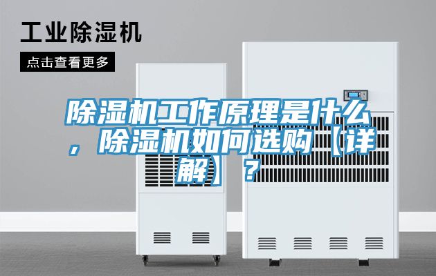 亚洲欧美一级特黄大片 除湿机工作原理是什么，除湿机如何选购【详解】？