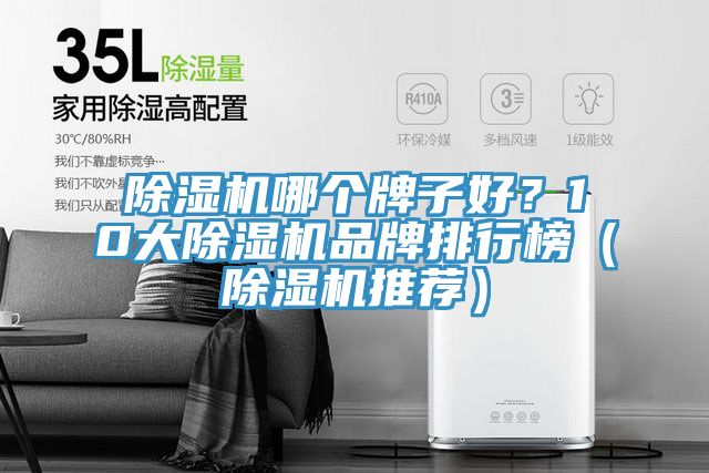 亚洲乱码一区二区三区 除湿机哪个牌子好？10大除湿机品牌排行榜（除湿机推荐）