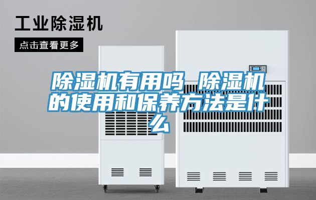 亚洲欧美一级特黄大片 除湿机有用吗 除湿机的使用和保养方法是什么