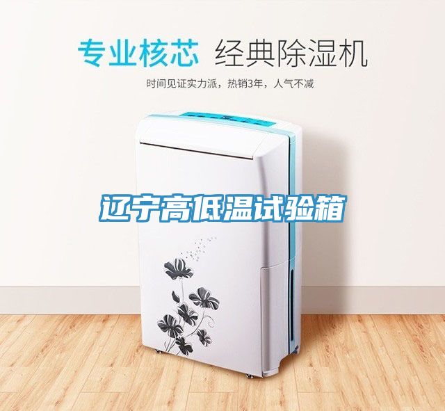亚洲人成综合第一网站 辽宁高低温试验箱