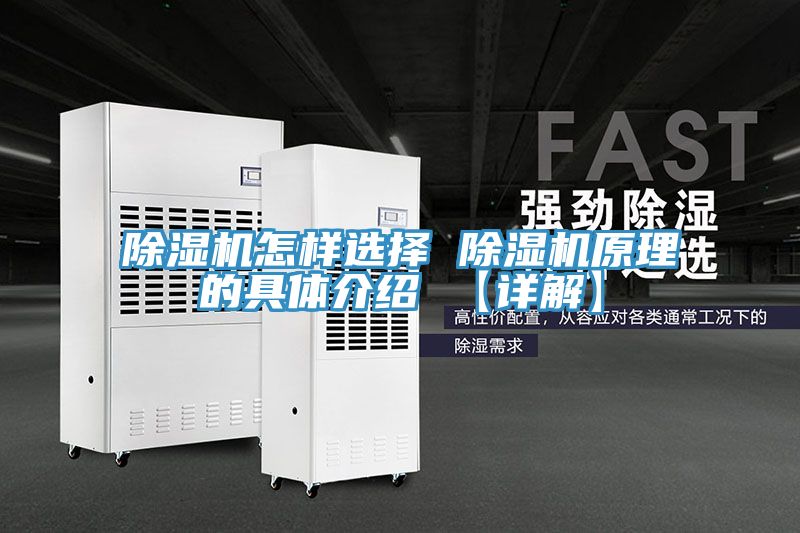 亚洲乱码一区二区三区 除湿机怎样选择 除湿机原理的具体介绍 【详解】