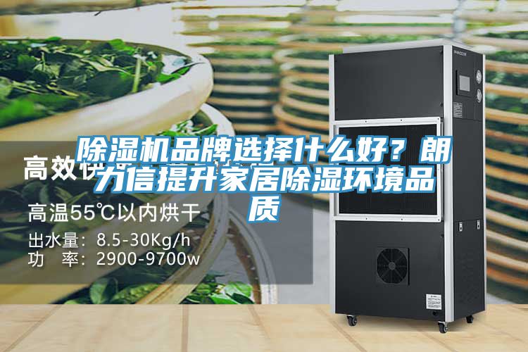 亚洲乱码一区二区三区 除湿机品牌选择什么好？朗力信提升家居除湿环境品质