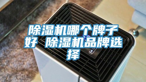 亚洲欧美一级特黄大片 除湿机哪个牌子好 除湿机品牌选择