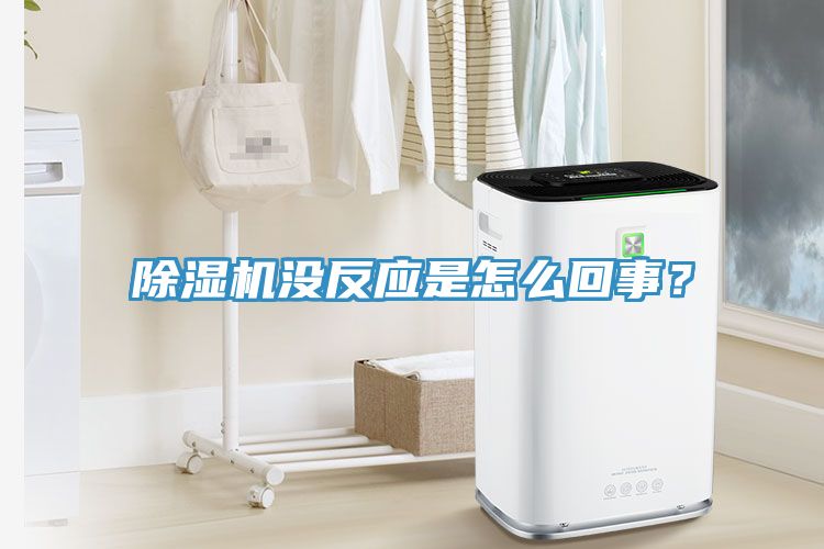 亚洲欧美一级特黄大片 除湿机没反应是怎么回事？