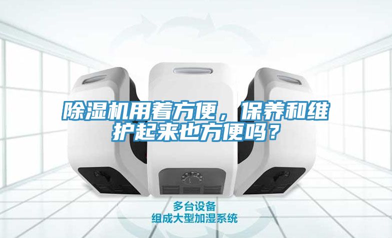 亚洲欧美一级特黄大片 除湿机用着方便，保养和维护起来也方便吗？